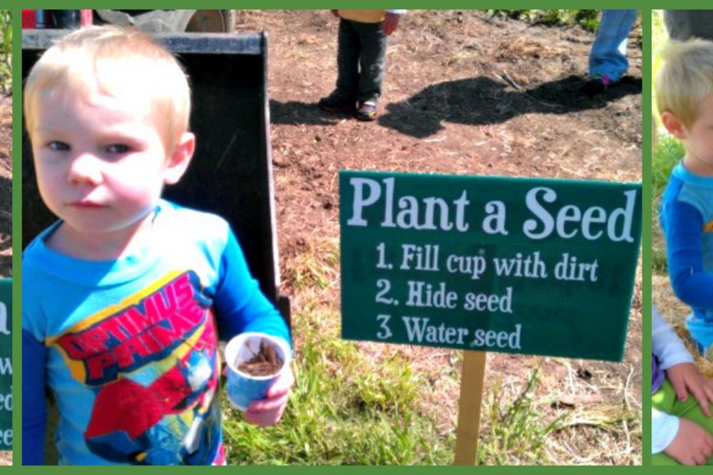 Earth Day, Wordless Wednesday