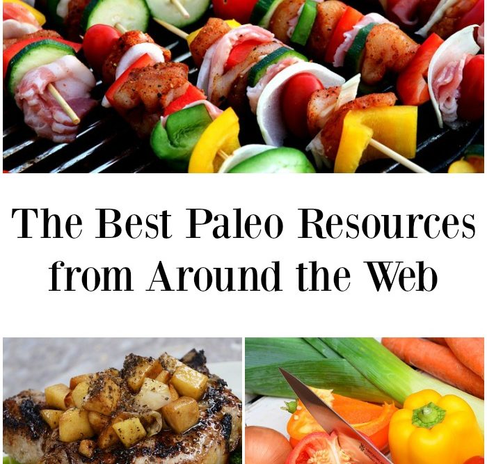 The Best Paleo Resources from Around the Web - JennsRAQ.com