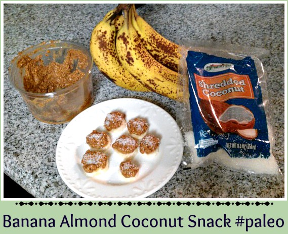 Banana Almond Coconut Snack - Paleo