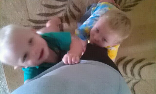 This is how Charlie and his big brother help me "work out".  I start a walking workout and they cling to my legs.  Exhausting.