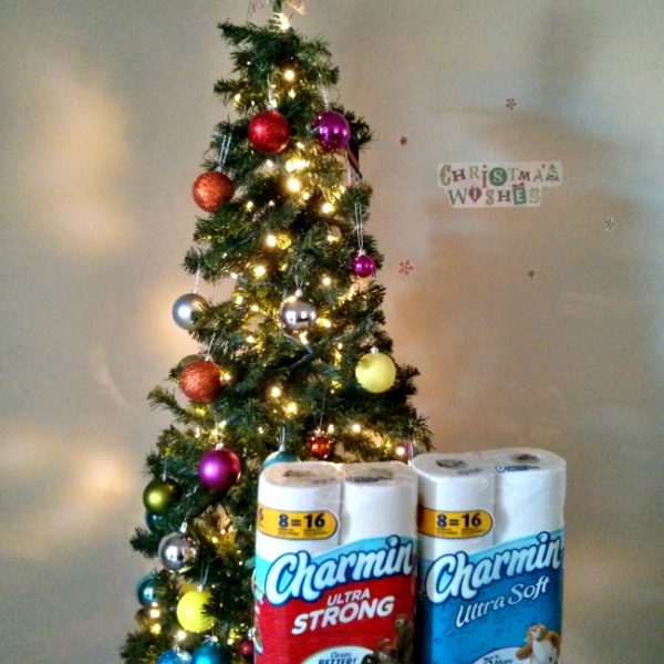 Getting Ready for the Holidays with Charmin! (Sponsored)