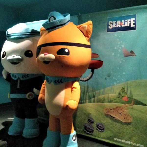 The Octonauts at SEA LIFE Grapevine Limited Time Only! (Giveaway)