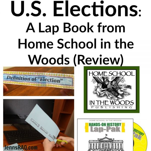 US Elections from Home School in the Woods (Review)