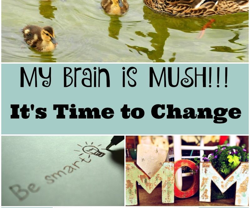 My Brain is MUSH - It's Time to Change as seen on JennsRAQ.com