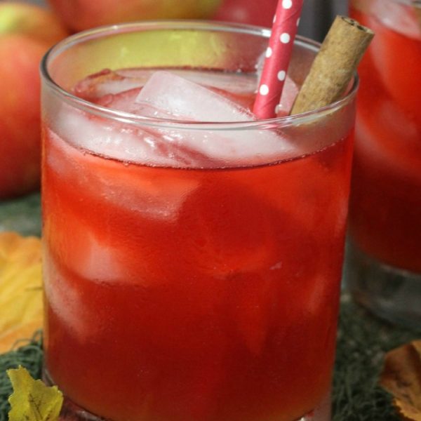 Spiced Red Apple Cider Punch