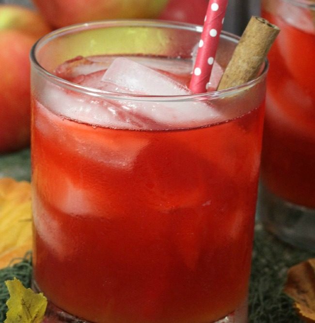 Spiced Red Apple Cider Punch