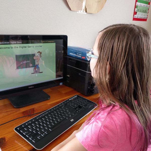 CompuScholar Digital Savvy Review