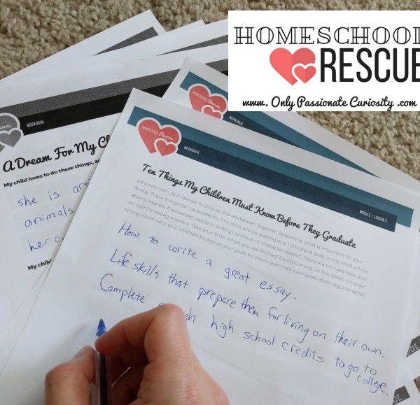 Homeschool with Heart eCourse by Only Passionate Curiosity (Review)