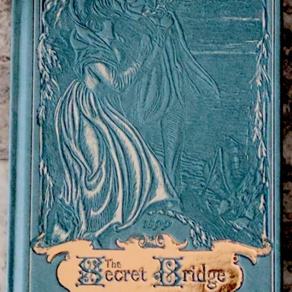 The Secret Bridge by Amy Le Feuvre