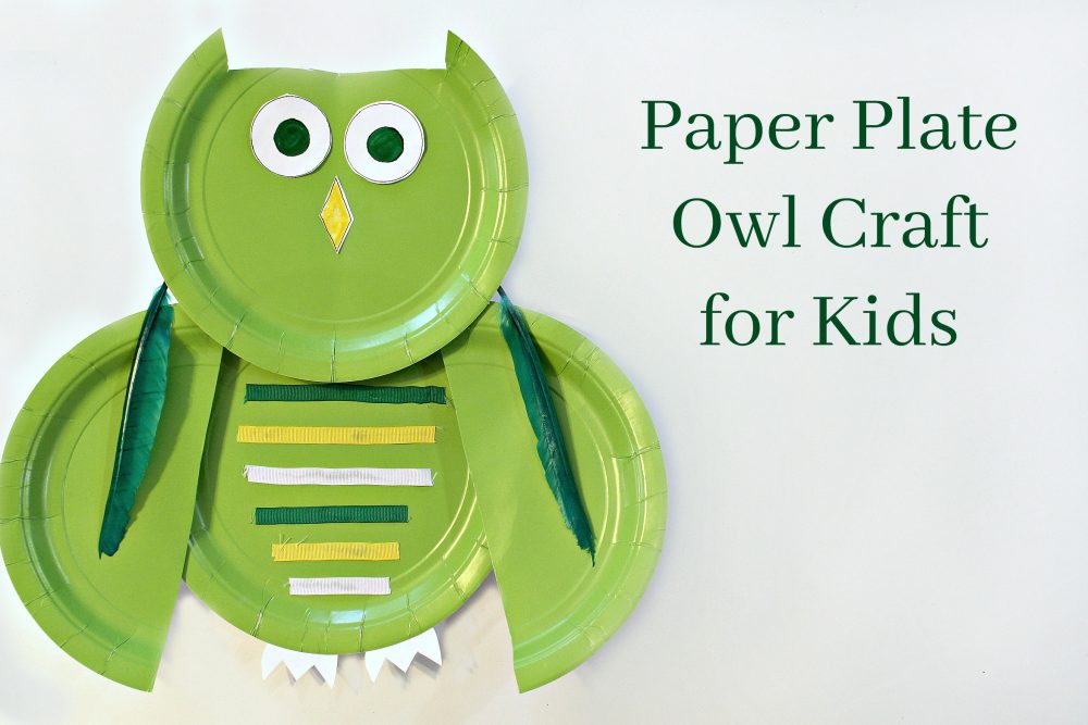 Paper Plate Owl Craft for Kids