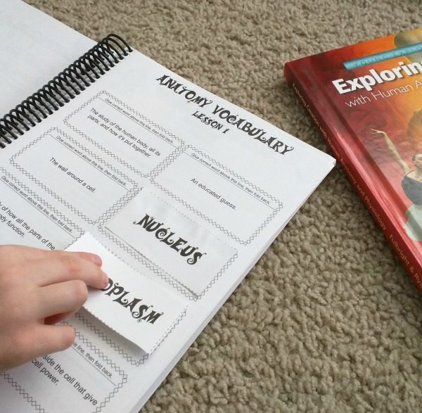 Apologia Exploring Creation with Human Anatomy and Physiology Review