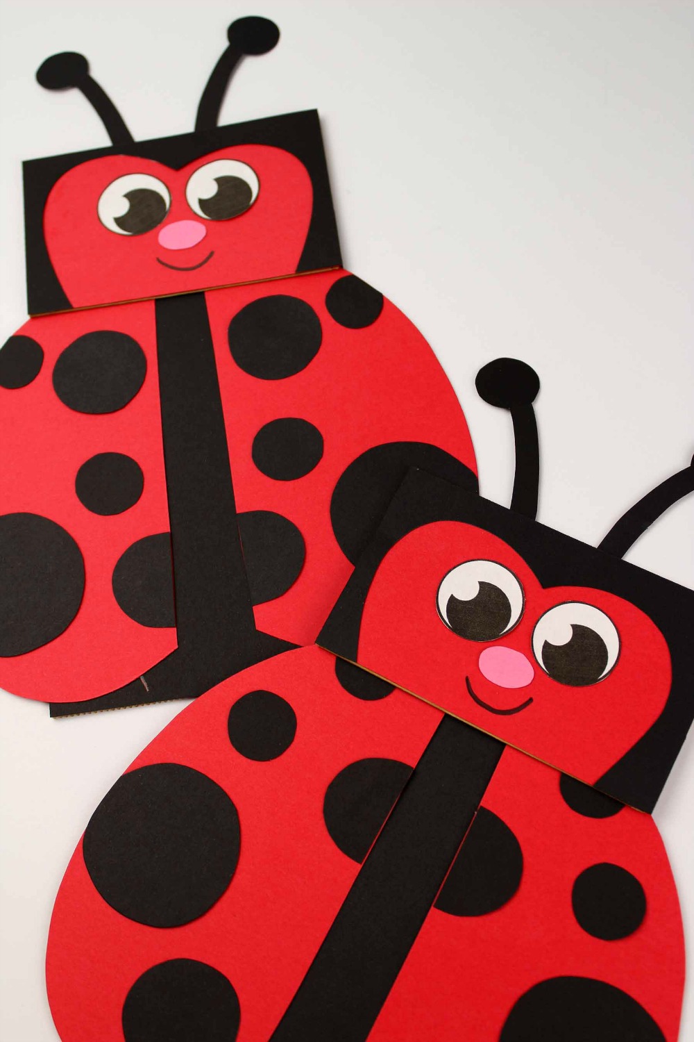 Paper Bag Craft - Ladybug Puppet Completed project