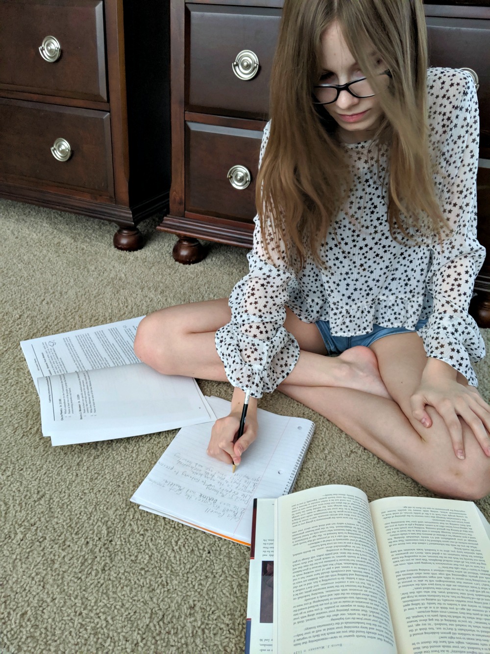 Lightning Literature and Composition Speech Course for High School