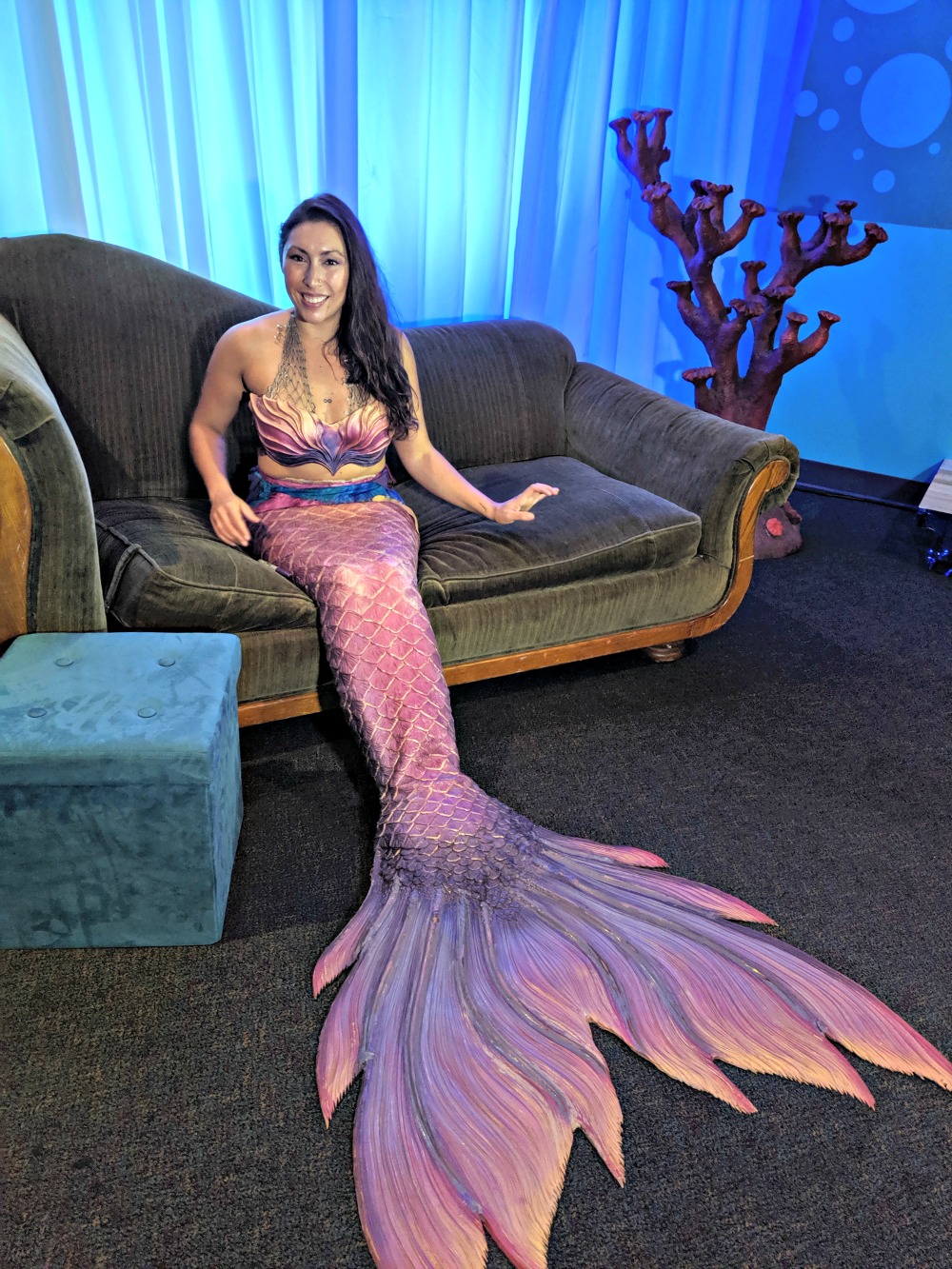 SEA LIFE GRAPEVINE Mermaid Experience Photo Opportunity