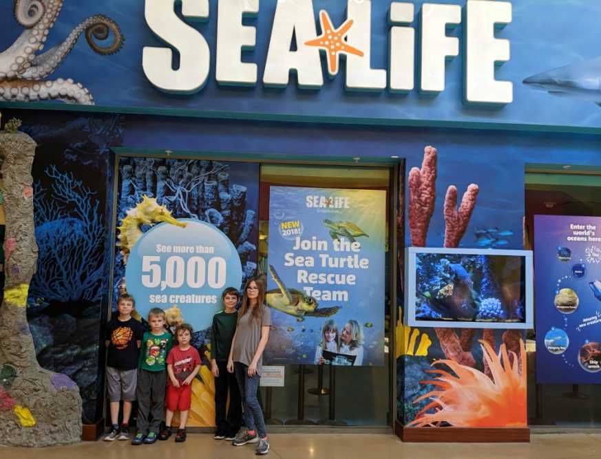 Meet a Mermaid at SEA LIFE Grapevine Aquarium (Until July 7, 2019