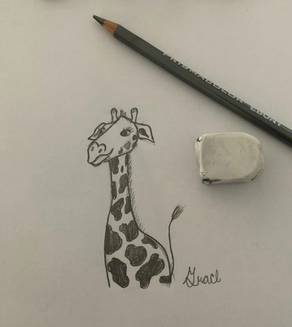 Creating a Masterpiece Drawing Program - Giraffe Final