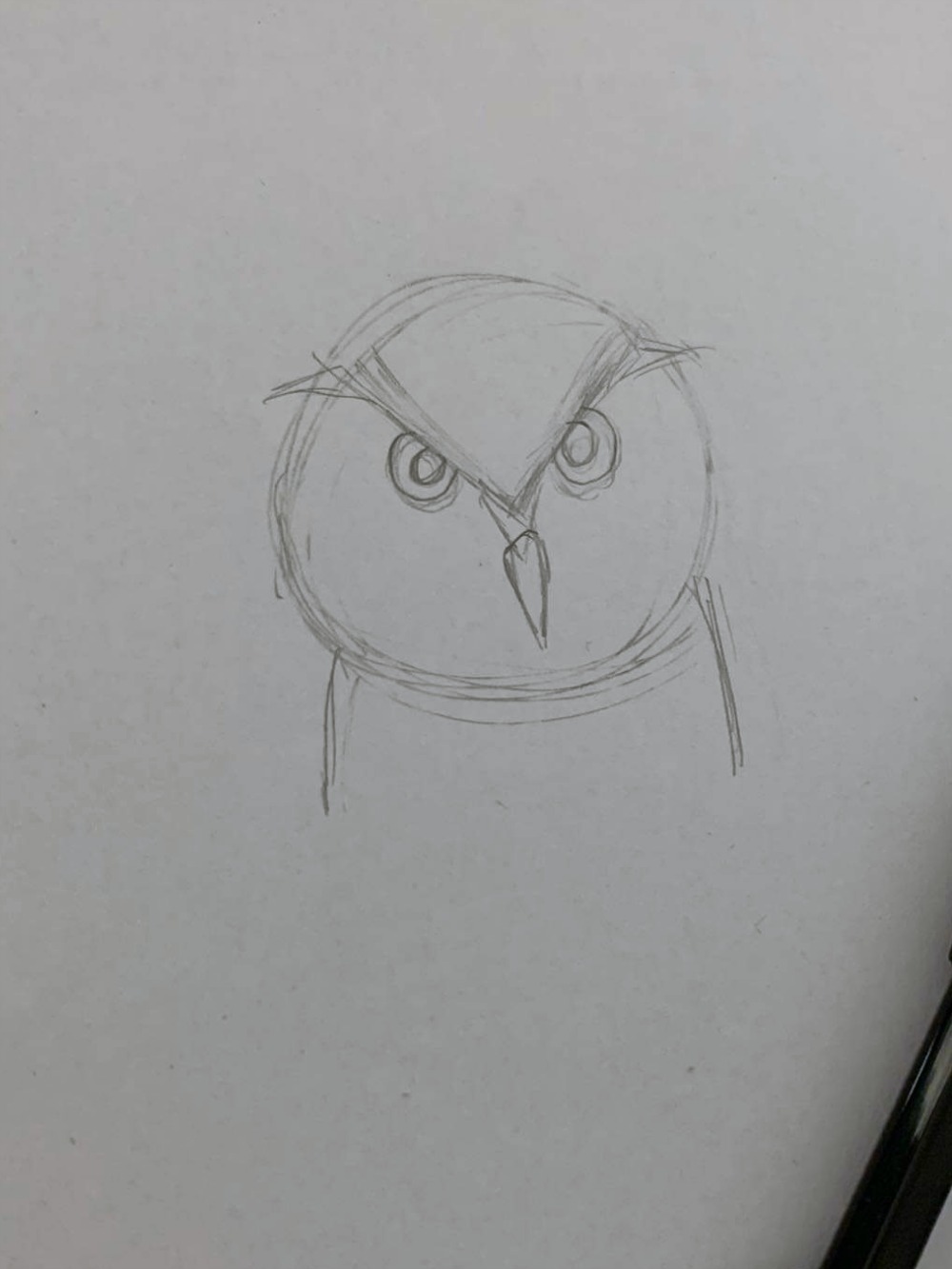 Creating a Masterpiece Drawing Program - Hoot Owl Process