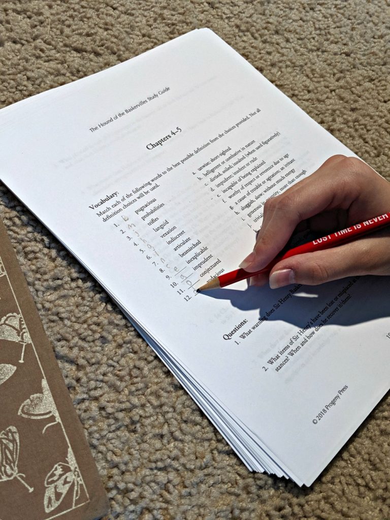 Progeny Press Hound of the Baskervilles Study Guide Review - Real And ...
